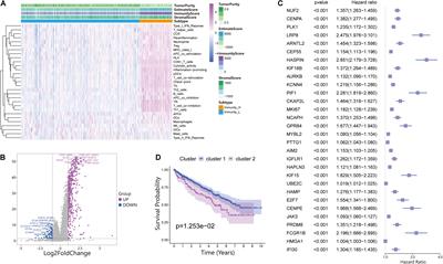 Immune Signatures Combined With BRCA1-Associated Protein 1 Mutations Predict Prognosis and Immunotherapy Efficacy in Clear Cell Renal Cell Carcinoma